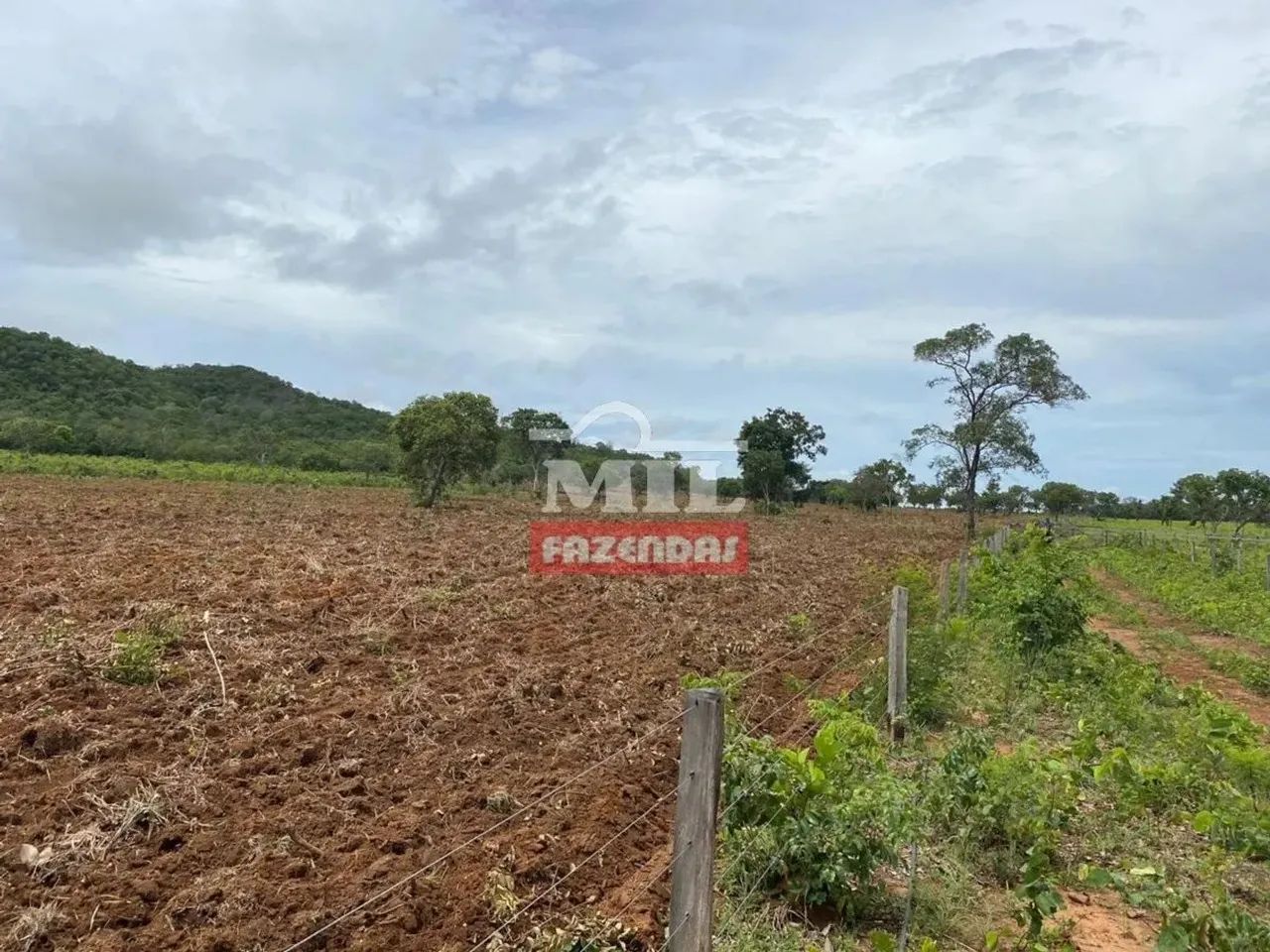 Fazenda 106 Alqueires (515 Hectares) Jau do Tocantins - TO - Foto 2