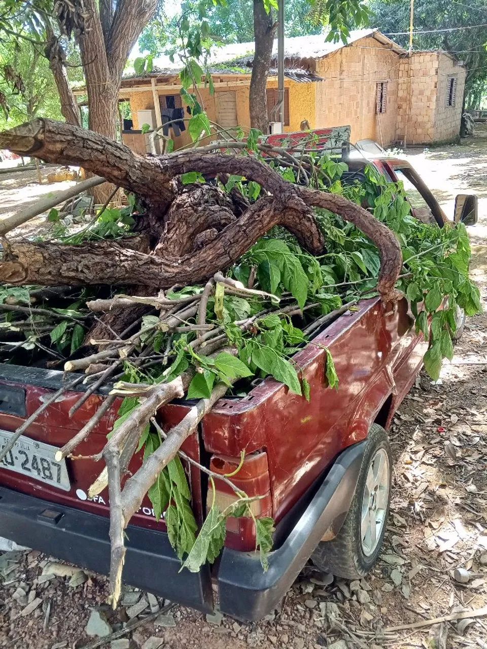 Remoção de entulhos. - Foto 4