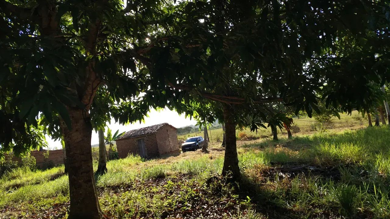 terreno com duas casa pov riachão - Foto 4