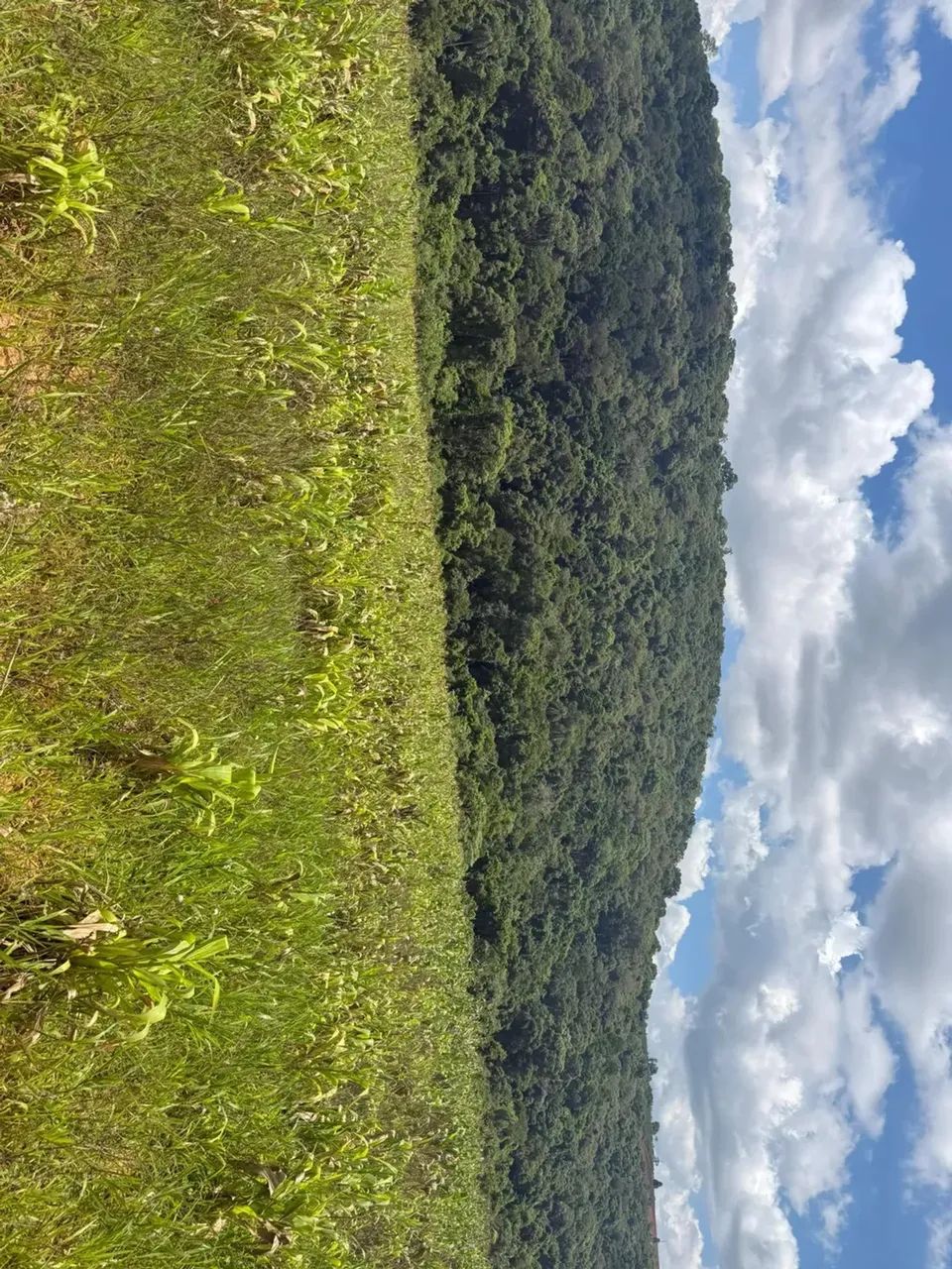 Terrenos para venda tem 1000 metros quadrados em Colégio - Ibiúna - SP - Foto 8