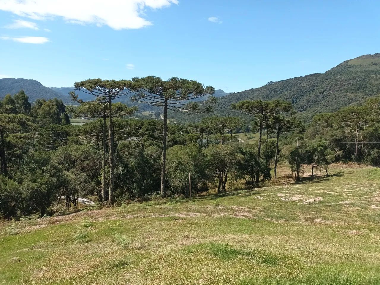 Terreno SC 370 Solar Luzir