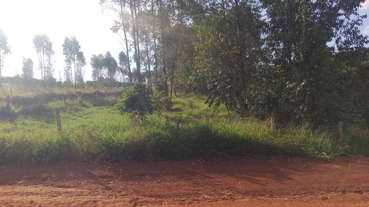 Vendo chácara em Belo vale de 2000 mt - Foto 5