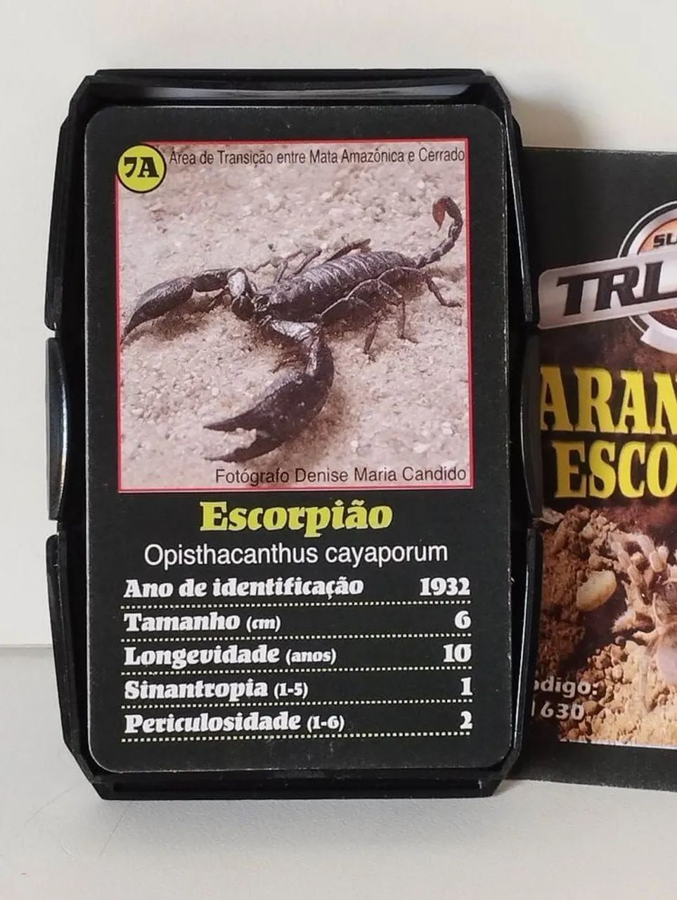 Cartas de Aranhas, Escorpiões e outros aracnídeos - Foto 2