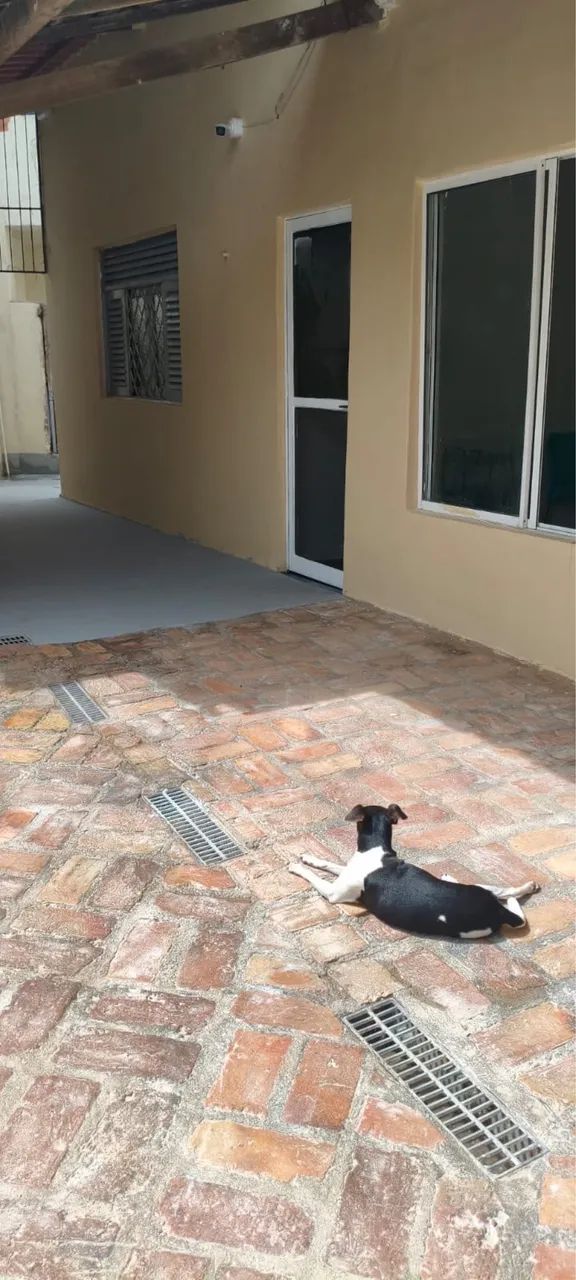 CASA NO FAROL COM PISCINA, PRÓX A PRAÇA CENTENÁRIO - Foto 5