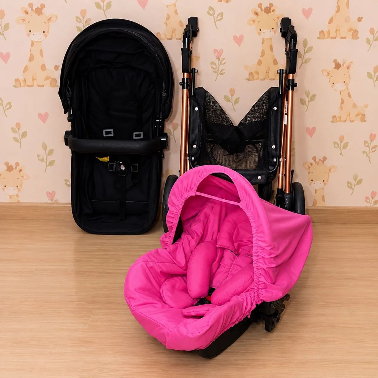 Kit carrinho Moisés e bebê conforto 
