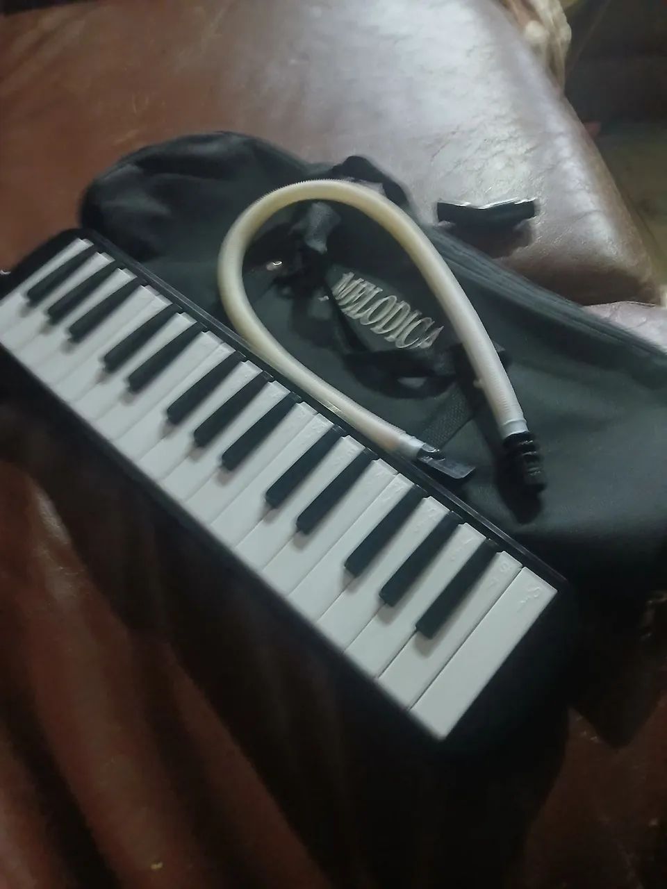 Escaleta Melodica - Foto 3