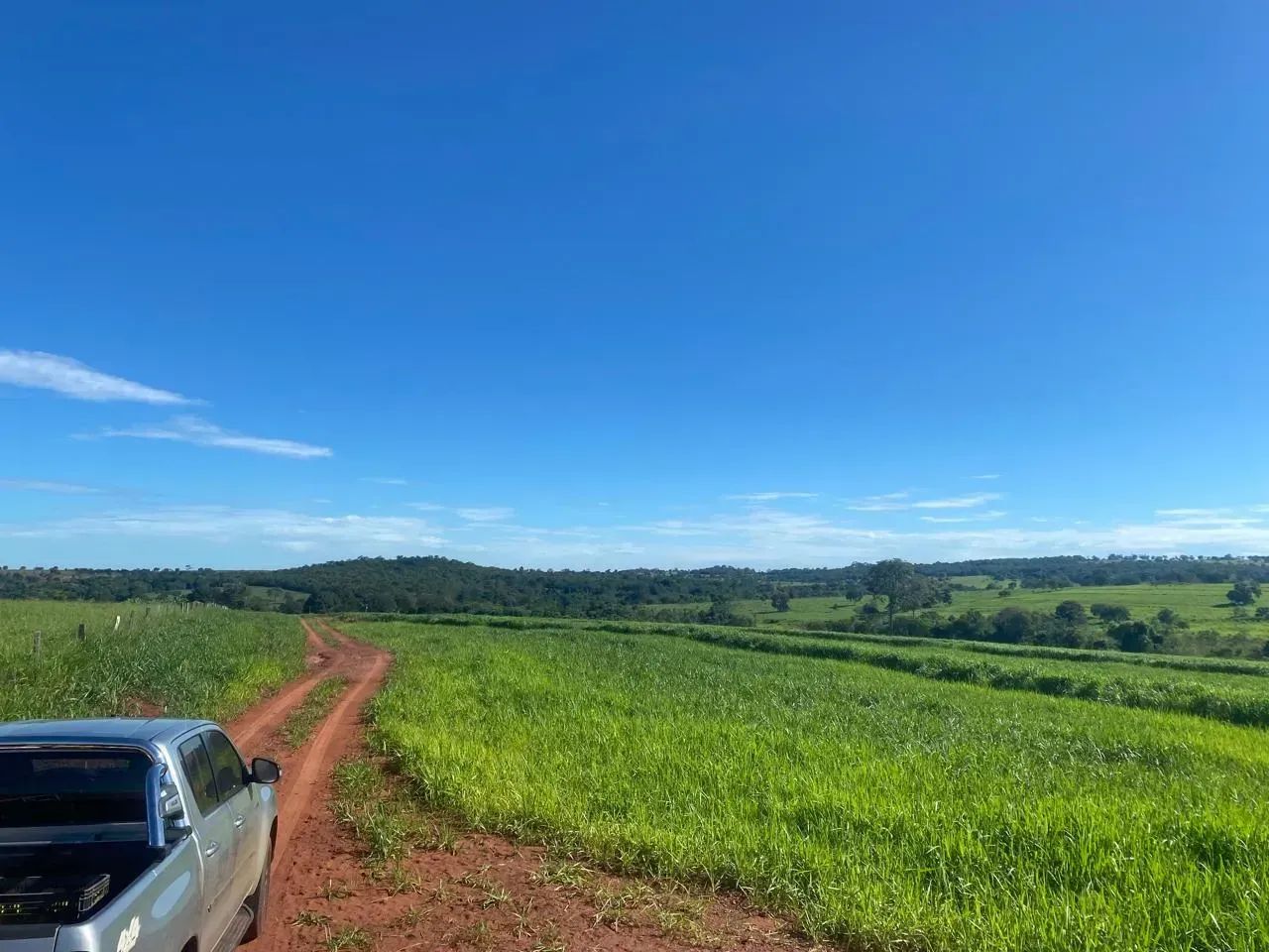 FAZENDA À VENDA  APTIDÃO CANA, PECUÁRIA E EUCALIPTO - Foto 2