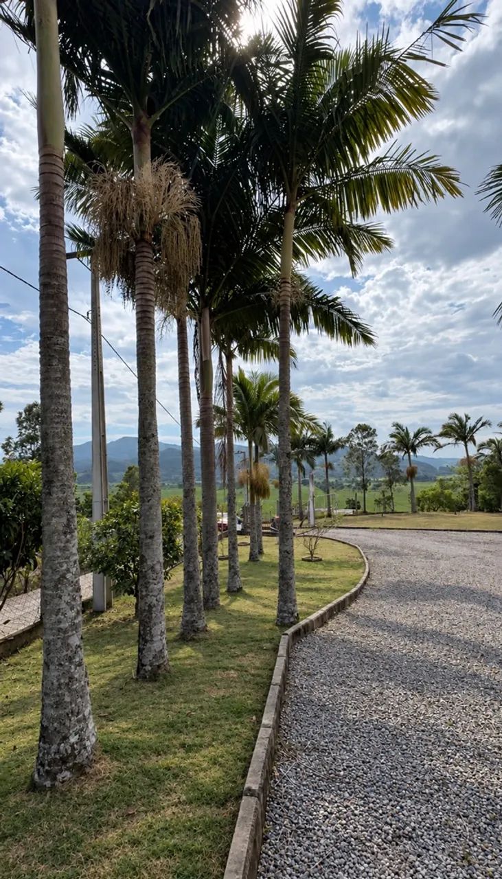 Casa 550m2 Galpão 1500m2 terreno 5000m2 - Foto 3