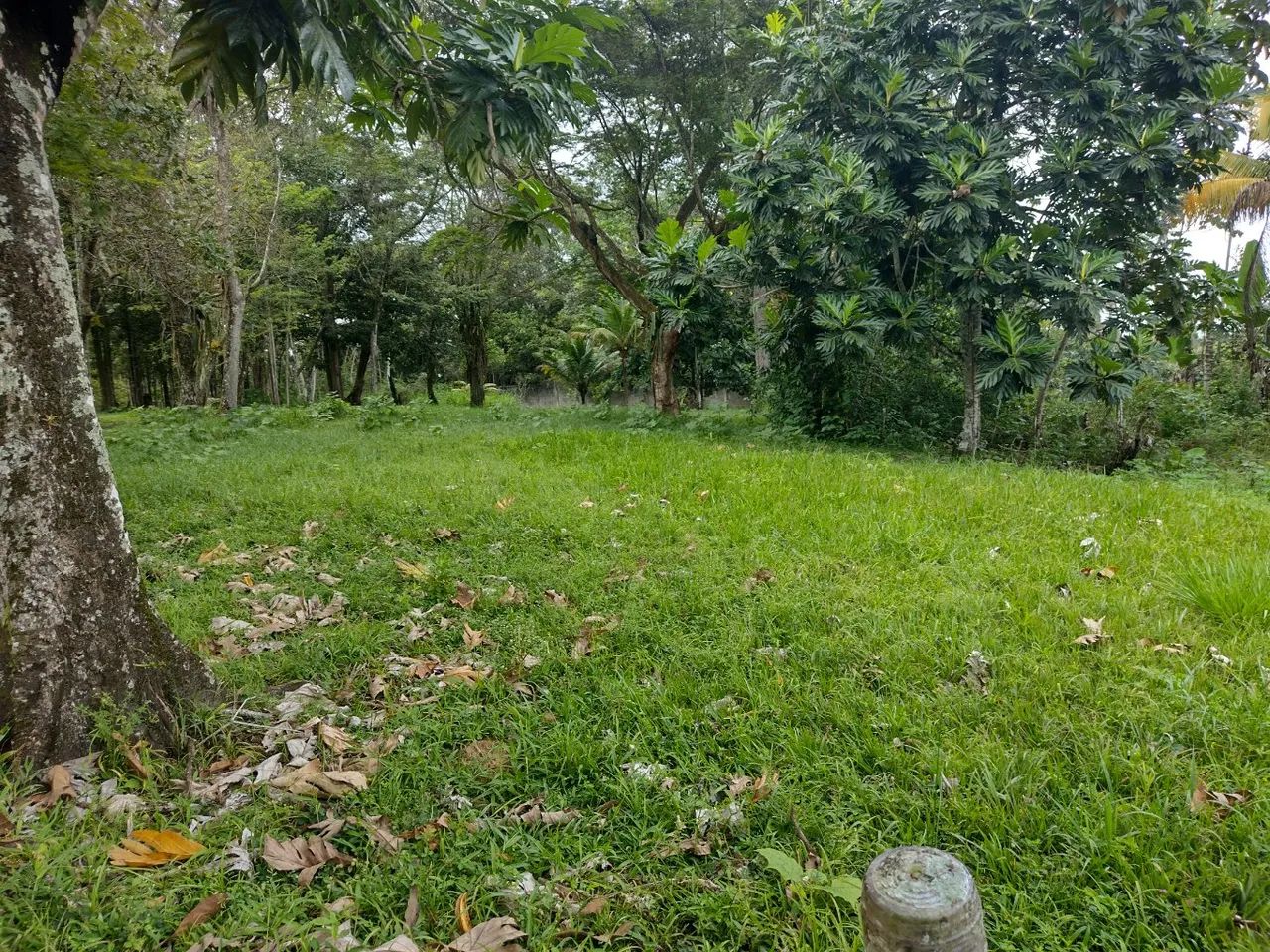 vende-se belíssima propriedade em aldeia!!!! também alugamos, podemos também alugar!. - Foto 12