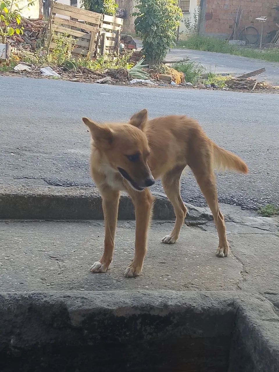 Doação  - Foto 4