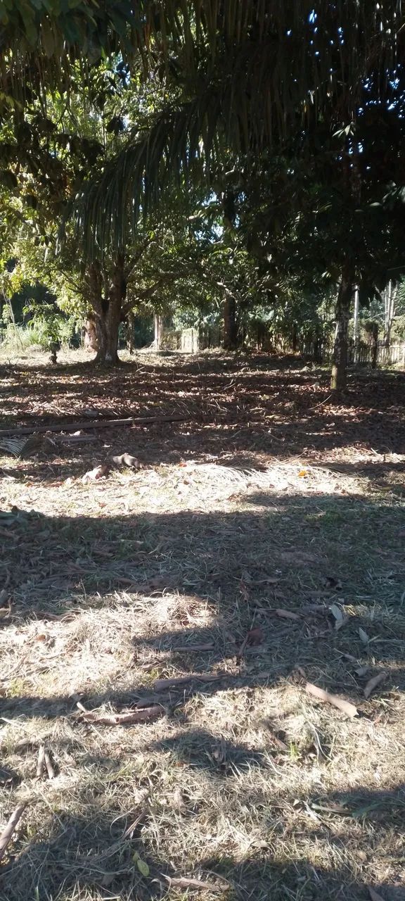 Vendo terreno no ramal bem fica - Foto 4