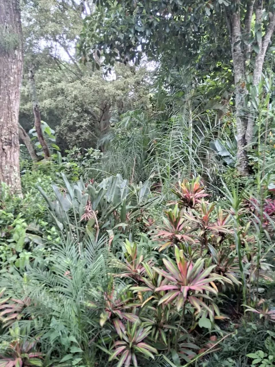 Casa de condomínio em Cotia, terreno com 1.100m2 - Foto 3