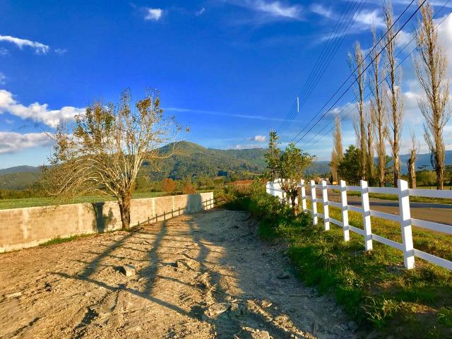 Casa em Urubici/ terreno em Urubici/ Urubici-SC - Foto 10