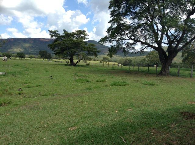 Fazenda 612 hectares em Pedra Preta - Foto 3