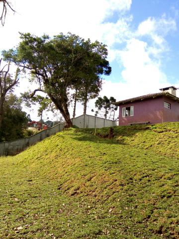 Chácara em São José dos Pinhais - Foto 16