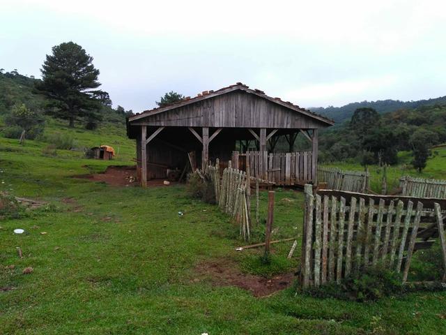 Fazenda de 93 Alqueires .Guabiroba - Guarapuava PR .R$ 30 mil por Alqueire - Foto 13