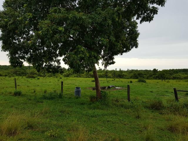Fazenda c/ 357 alqueires em Porto Esperidião - Foto 12