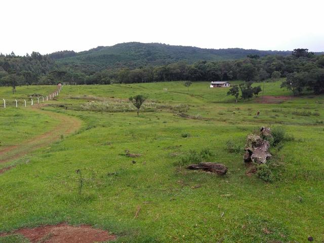 Fazenda de 93 Alqueires .Guabiroba - Guarapuava PR .R$ 30 mil por Alqueire - Foto 2