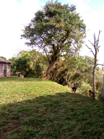Chácara em São José dos Pinhais - Foto 7