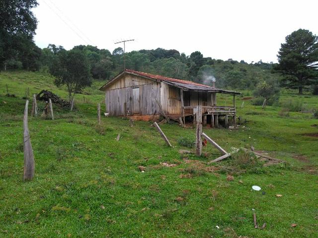 Fazenda de 93 Alqueires .Guabiroba - Guarapuava PR .R$ 30 mil por Alqueire - Foto 14