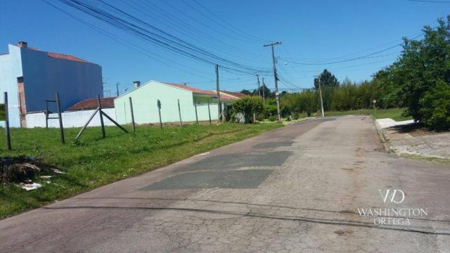 Terreno à venda, 2952 m² por r$ 2.300.000,00 - afonso pena - são josé dos pinhais/pr - Foto 12