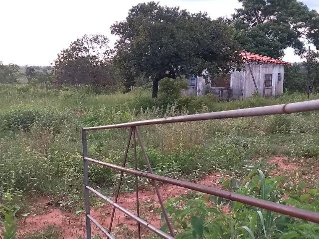 Terra Região de Chapada dos Guimarães - Foto 14