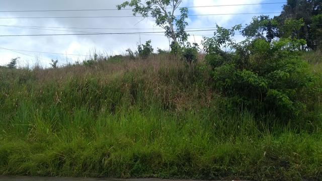 Vendo terreno na Av. Roberto Santos