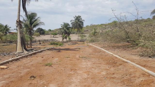 Lotes 250m² na Vila Presidente Vargas - Foto 3