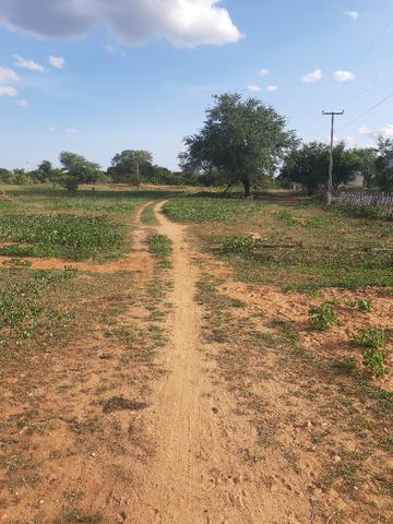 Vendo fazenda ou troco - Foto 3