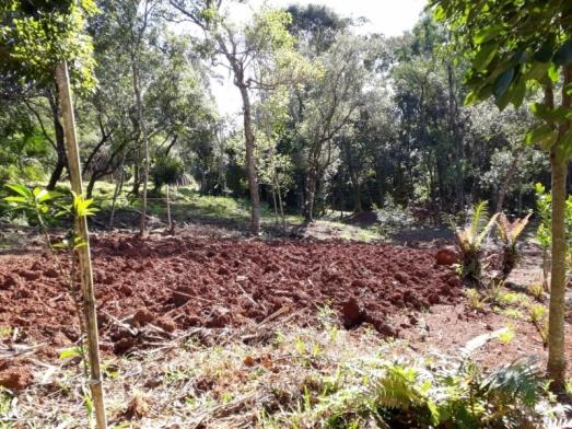 Terreno à venda em Zona rural, Osório cod:V01839 - Foto 3