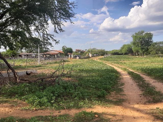 Vendo fazenda ou troco - Foto 12