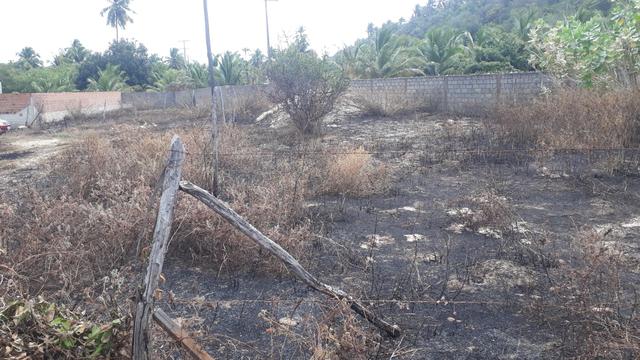 Vendo e troco terreno em lagoa do pau Coruripe - Foto 2