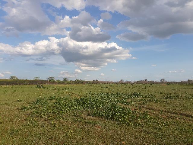 Vendo fazenda ou troco - Foto 6
