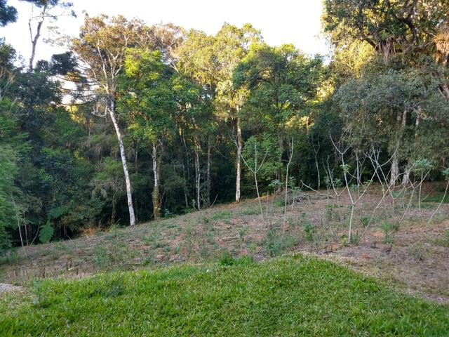 Chácara em três córrego - Foto 14