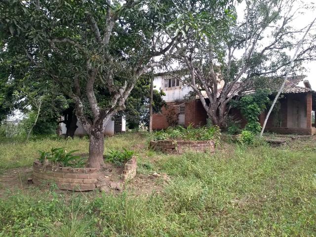 Vendo granja - Foto 9