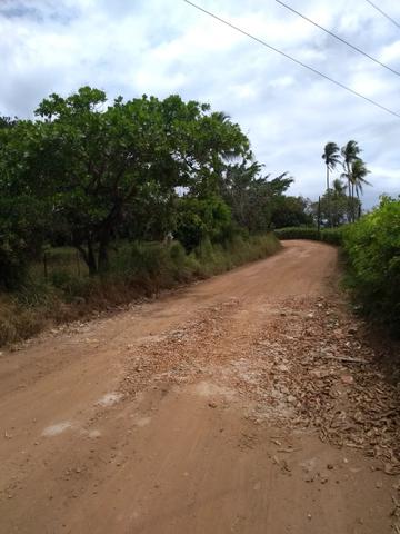 Vendo granja - Foto 18