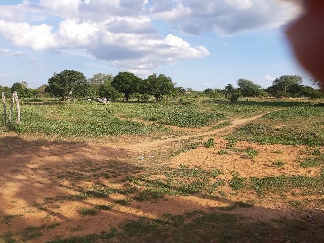 Vendo fazenda ou troco - Foto 16