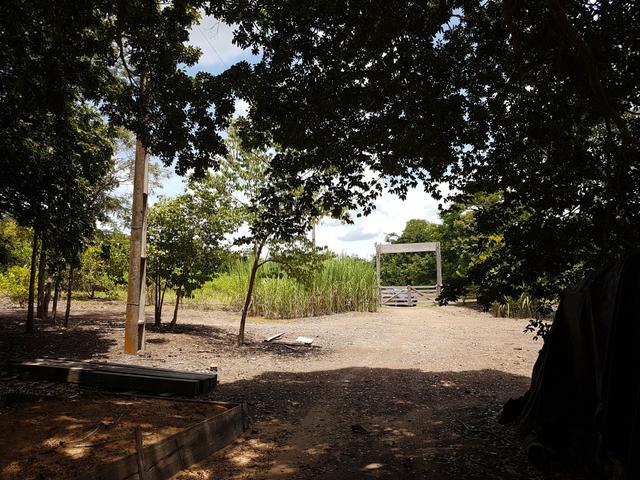 Sitio no Rio Manso - Foto 18