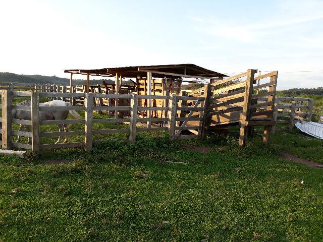 Fazenda 83,03 hs Santiago/RS - Foto 7