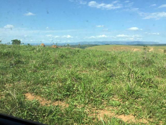 Fazenda em bambui 440 hectares 3.000.000.00 - Foto 10