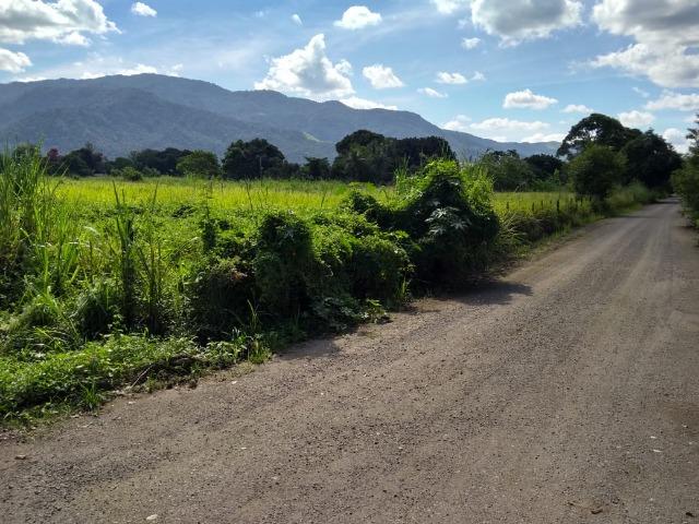 Terrenos com 1600 e 2100 m² plano - Documentado - Santa Cândida - Itaguaí