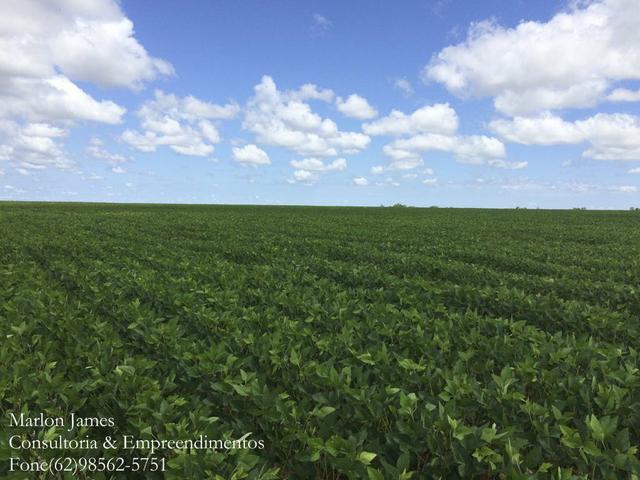 Fazenda em Mundo Novo! - Foto 7