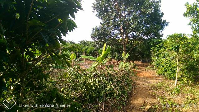 Terreno Mogi Das Cruzes - Foto 2