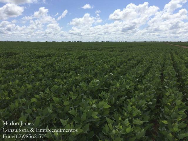Fazenda em Mundo Novo!