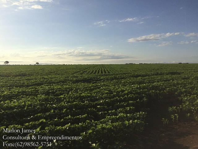 Fazenda em Mundo Novo! - Foto 2