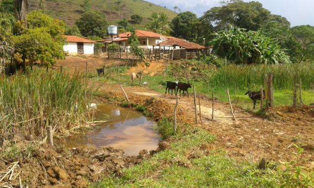 Fazenda - Foto 6