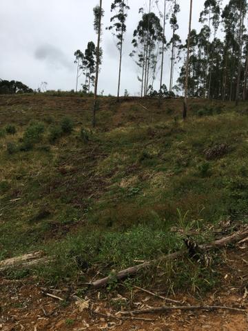 Terreno/Cachoeira - Foto 14