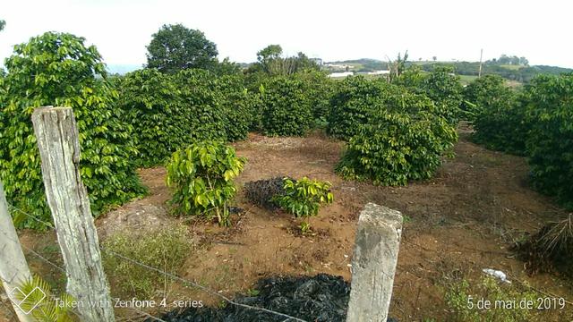 Terreno Mogi Das Cruzes - Foto 6
