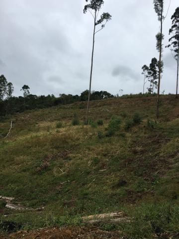 Terreno/Cachoeira - Foto 15