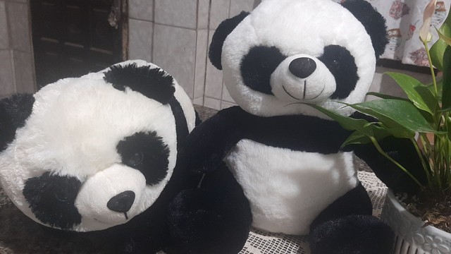 2 Ursos Panda